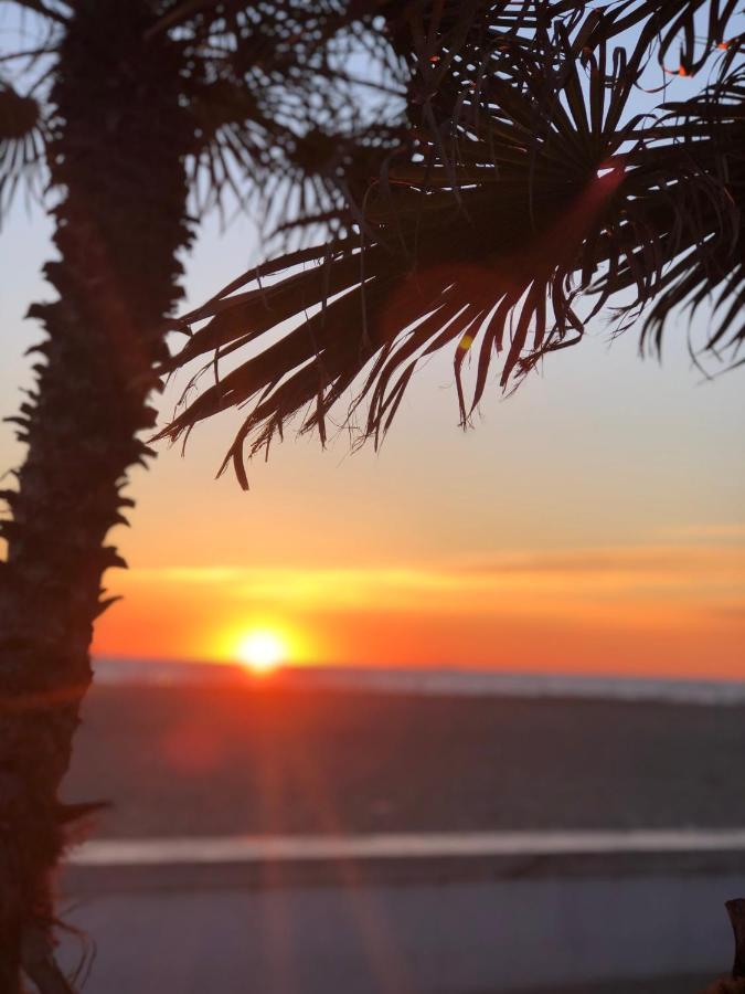 Riva Dei Fiori Leilighet Viareggio Eksteriør bilde